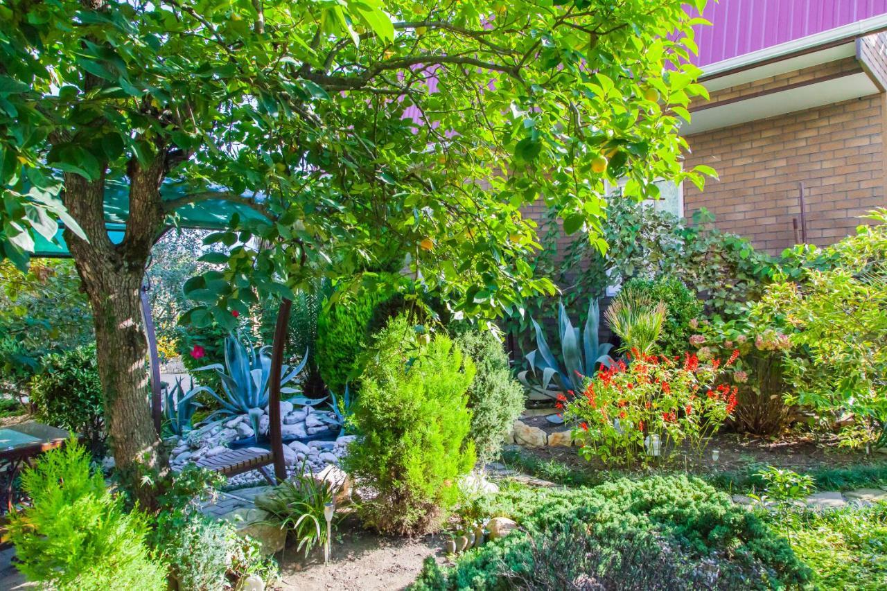 Primorie Guest House Gantiadi Exterior foto